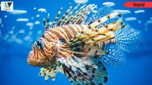 Deep impact of Industrial Fishing - Science RC Practice